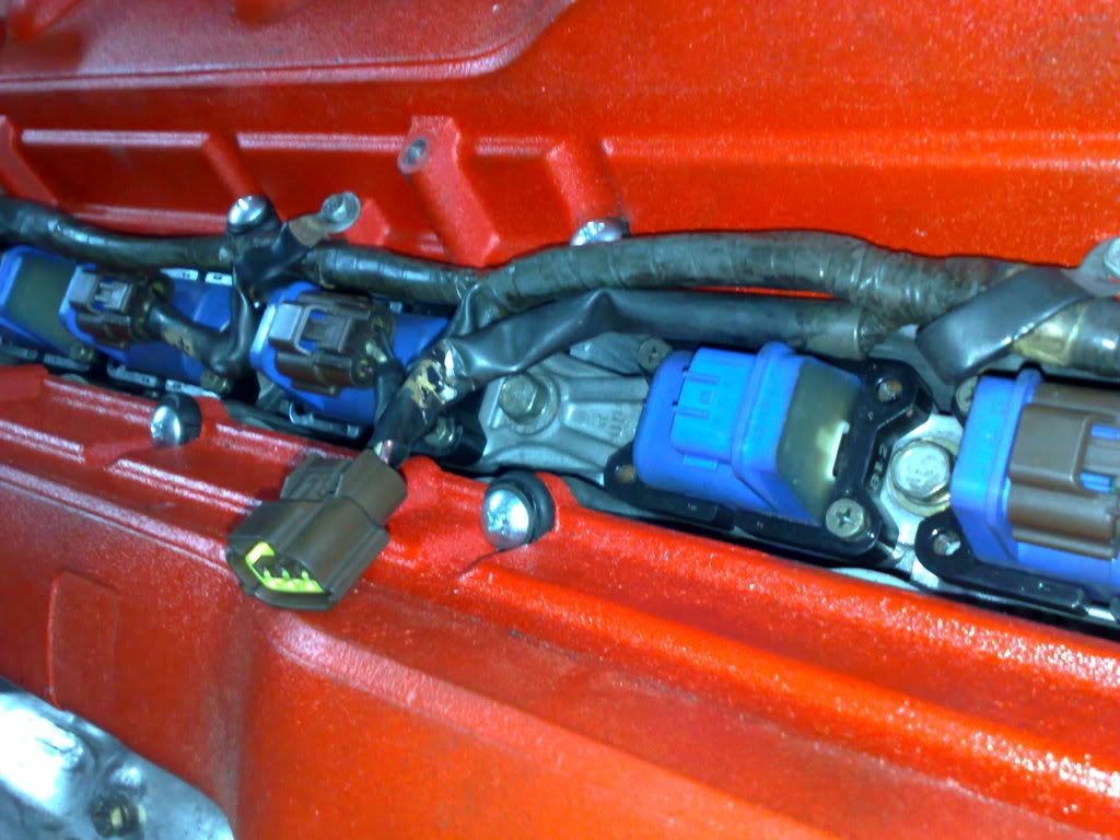 05032009221.jpg
