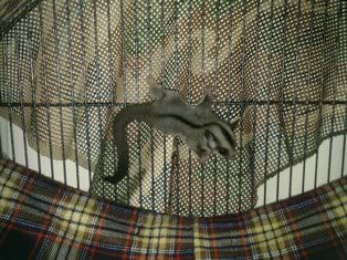 12012010154.jpg