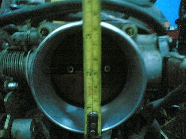 24042008015.jpg