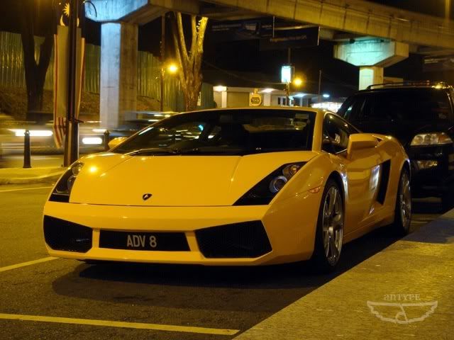 ADV8-LamborghiniGallardo.jpg