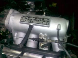 B-seriesSkunk2intakemanifold3.jpg