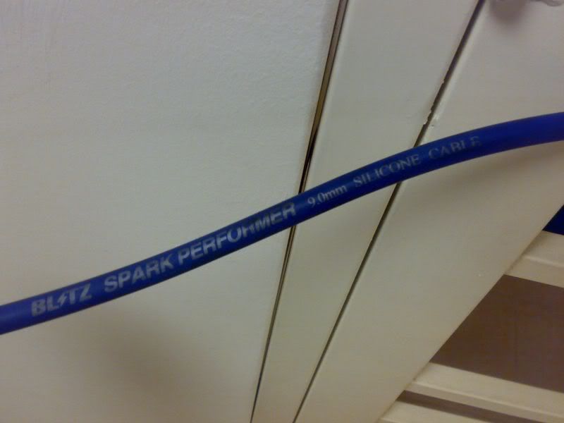 Bliztplugcable2.jpg