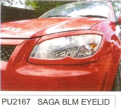 blmeyelid.jpg