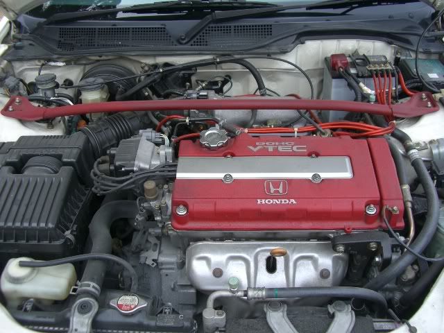 CIMG5269.jpg