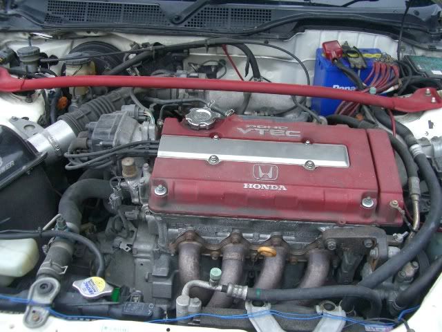 CIMG5363.jpg