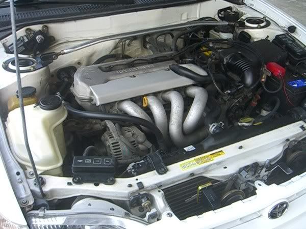 corollagoa6.jpg