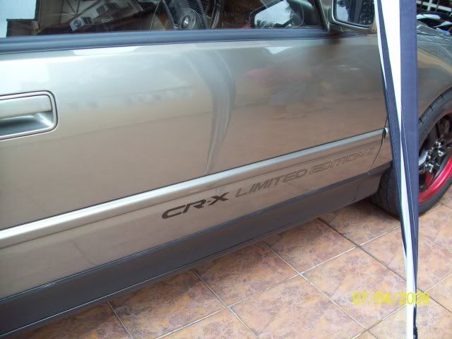 crx6.jpg