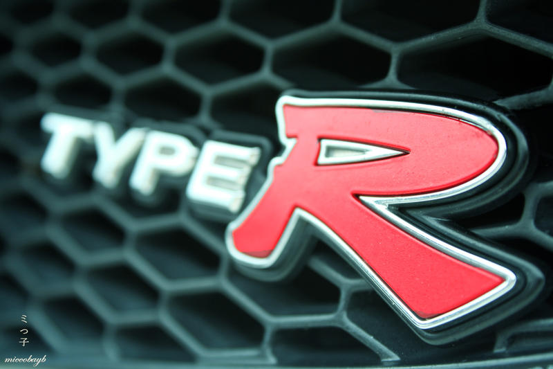DC5_TypeR_Logo_by_miccobayb.jpg
