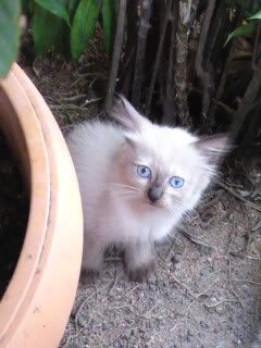 DSC00175.jpg