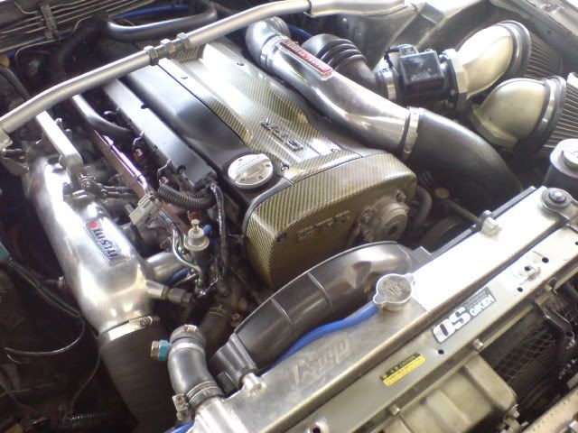 DSC00553.jpg