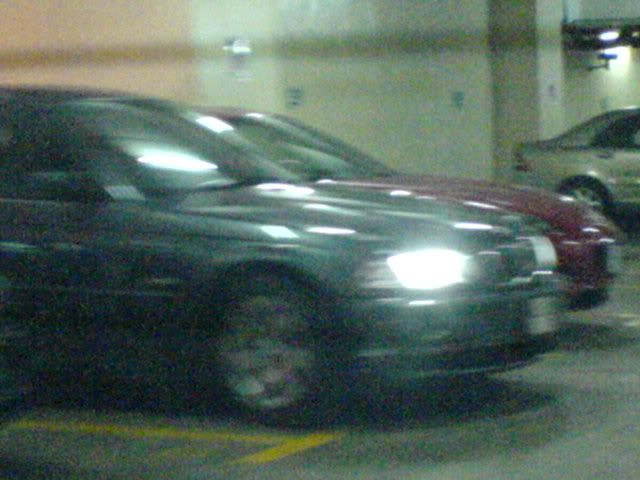 DSC00687.jpg