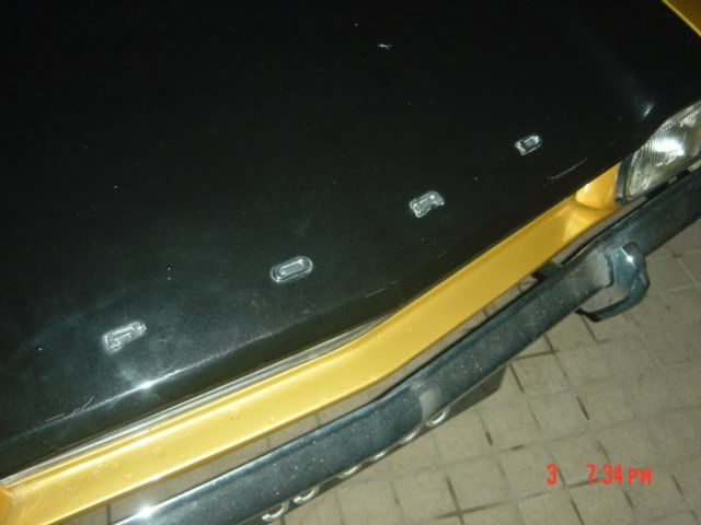 DSC01653.jpg