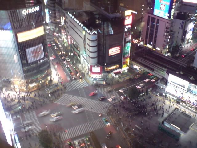 DSC01847.jpg