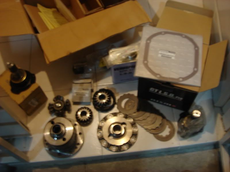 DSC05008.jpg