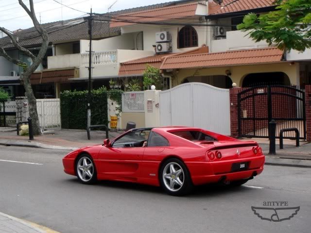 f355-3.jpg