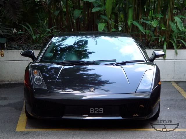 gallar829-1.jpg