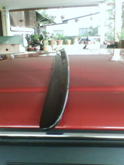 img00723.jpg