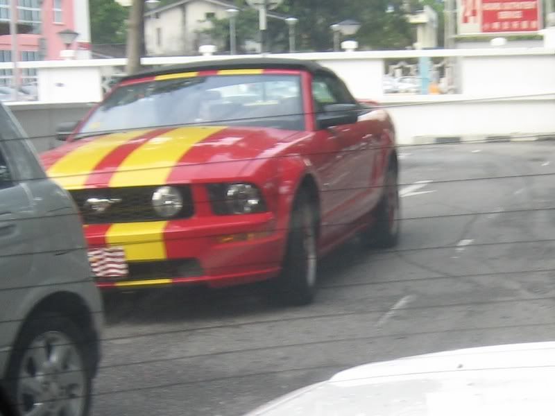 IMG_72261.jpg
