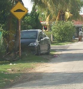 IMGP4898ct.jpg