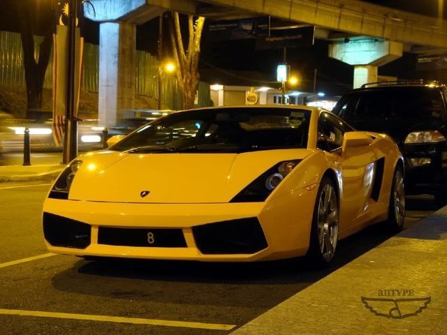 lambo1.jpg