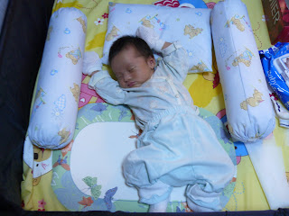 P1000234.jpg