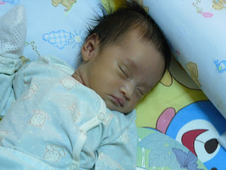 P1000237.jpg