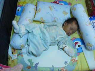 P1000246.jpg