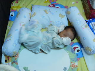 P1000249.jpg
