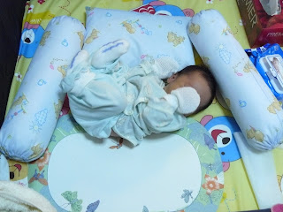 P1000250.jpg