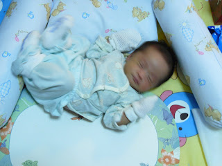 P1000252.jpg