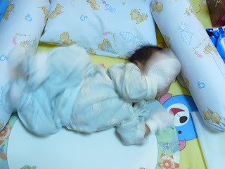 P1000253.jpg