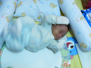 P1000255.jpg