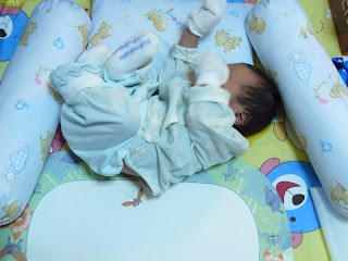 P1000257.jpg
