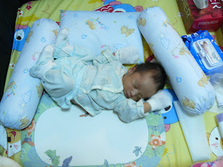 P1000263.jpg
