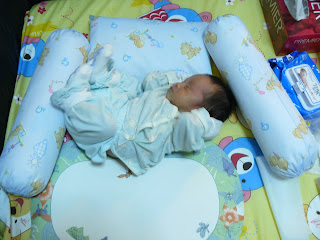 P1000264.jpg