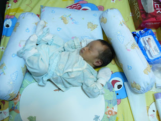P1000266.jpg