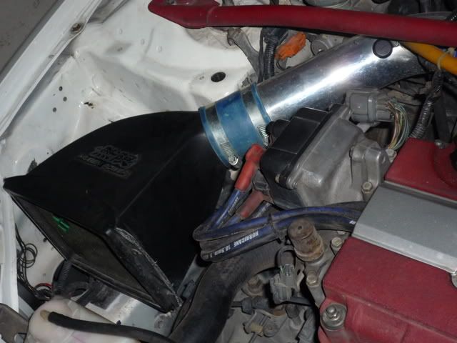 P1000266.jpg