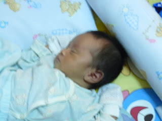 P1000269.jpg