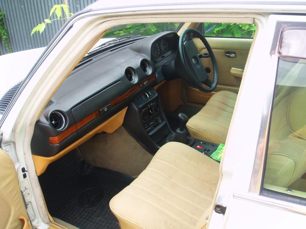 P1010004-2.jpg