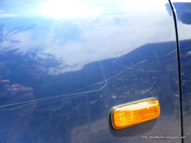 P1010157.jpg