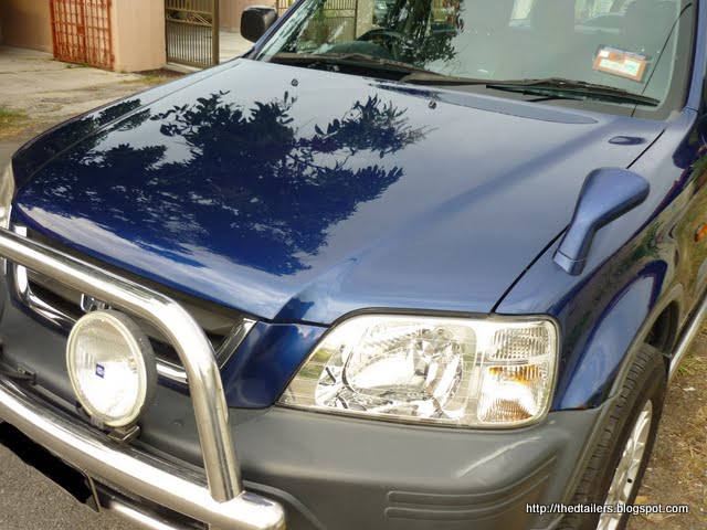 P1010490.jpg
