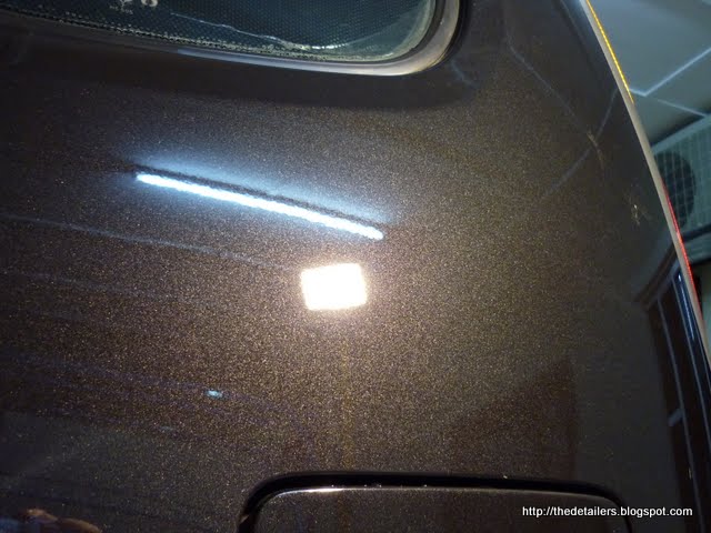 P1130495.jpg