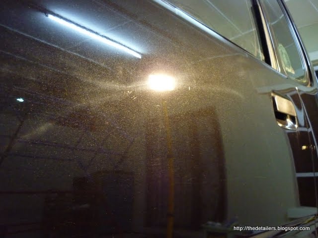 P1130503.jpg