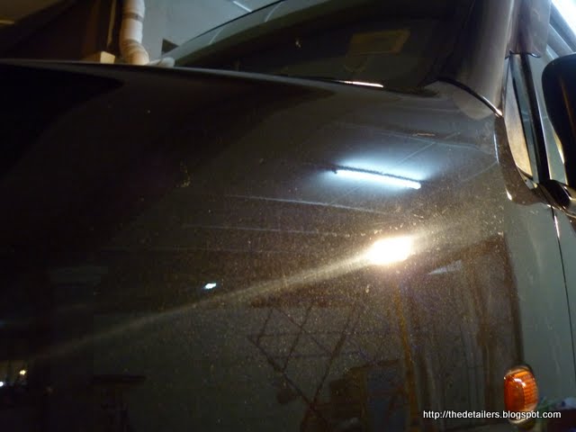 P1130537.jpg