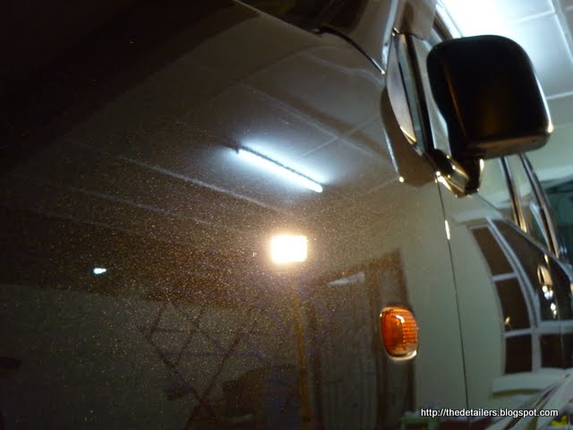 P1130547.jpg