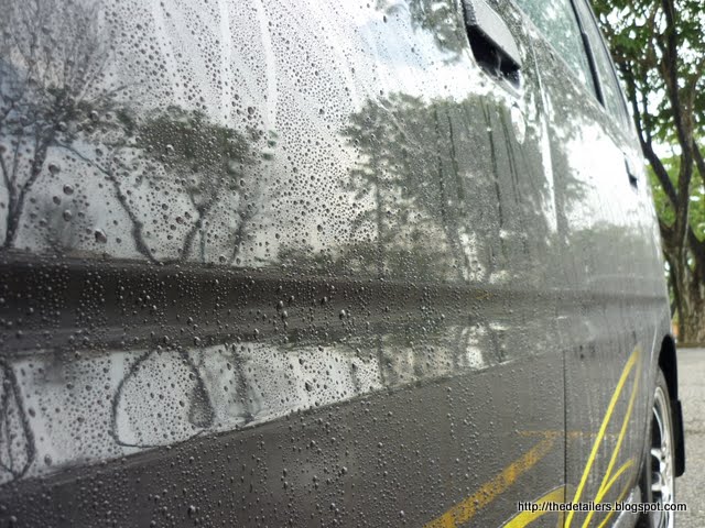 P1140145.jpg