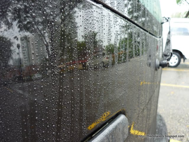 P1140153.jpg