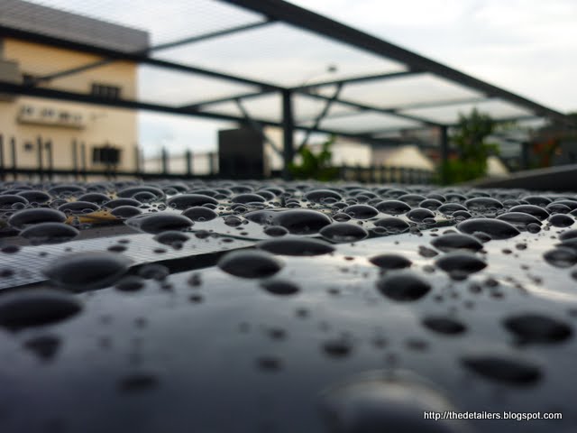 P1140243.jpg