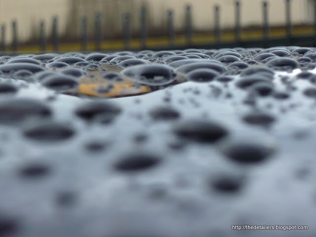 P1140260.jpg