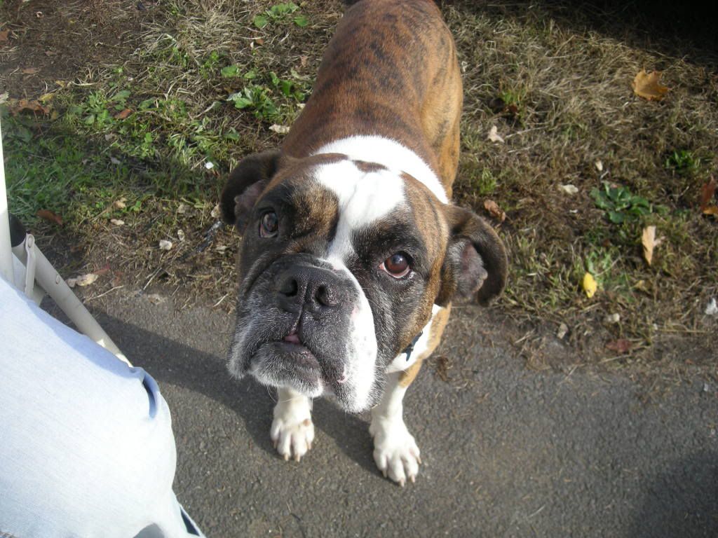 Picture004.jpg